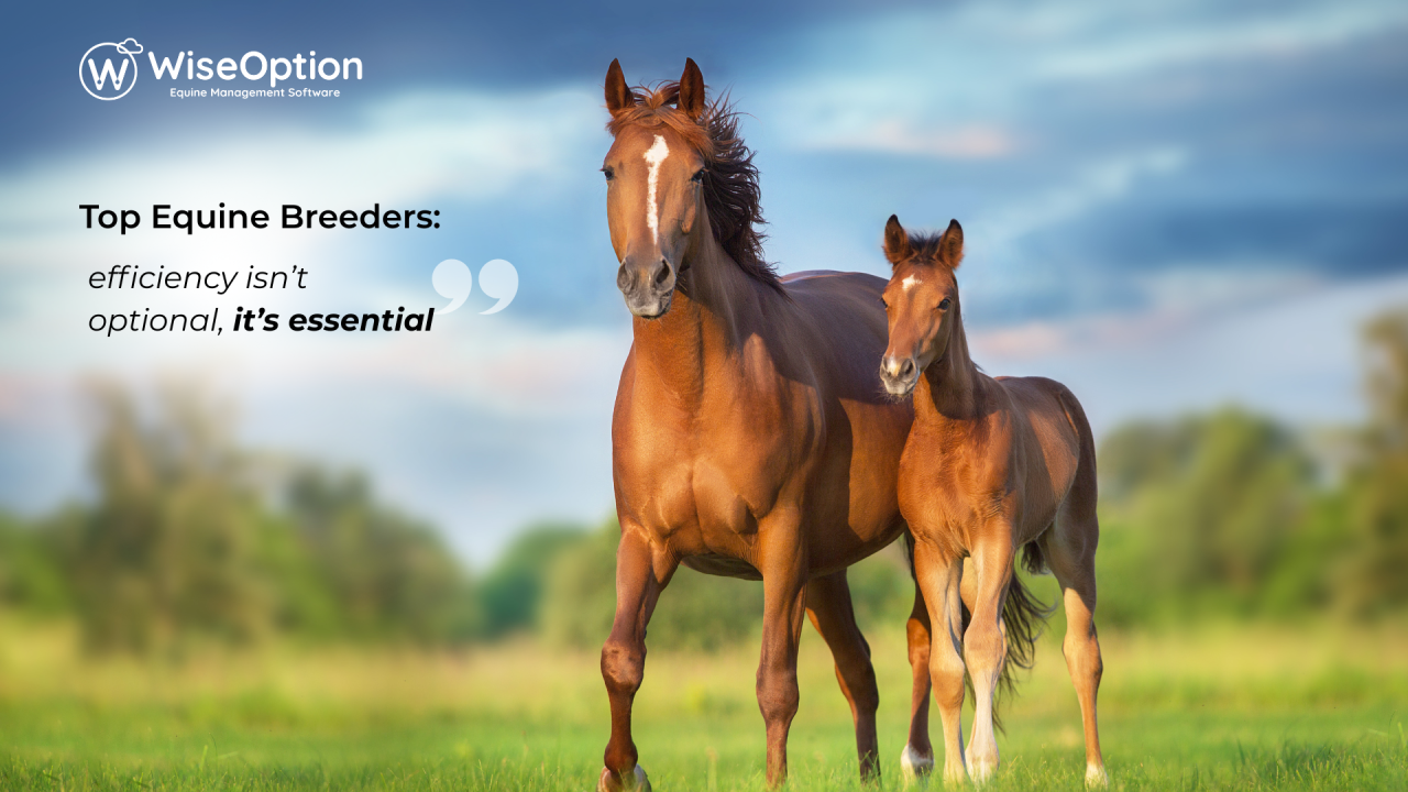 The one tool transforming equine breeding management by helping top breeders track mares, embryos, and every stage of the process with ease and accuracy.