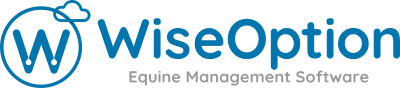 Wise Option Logo